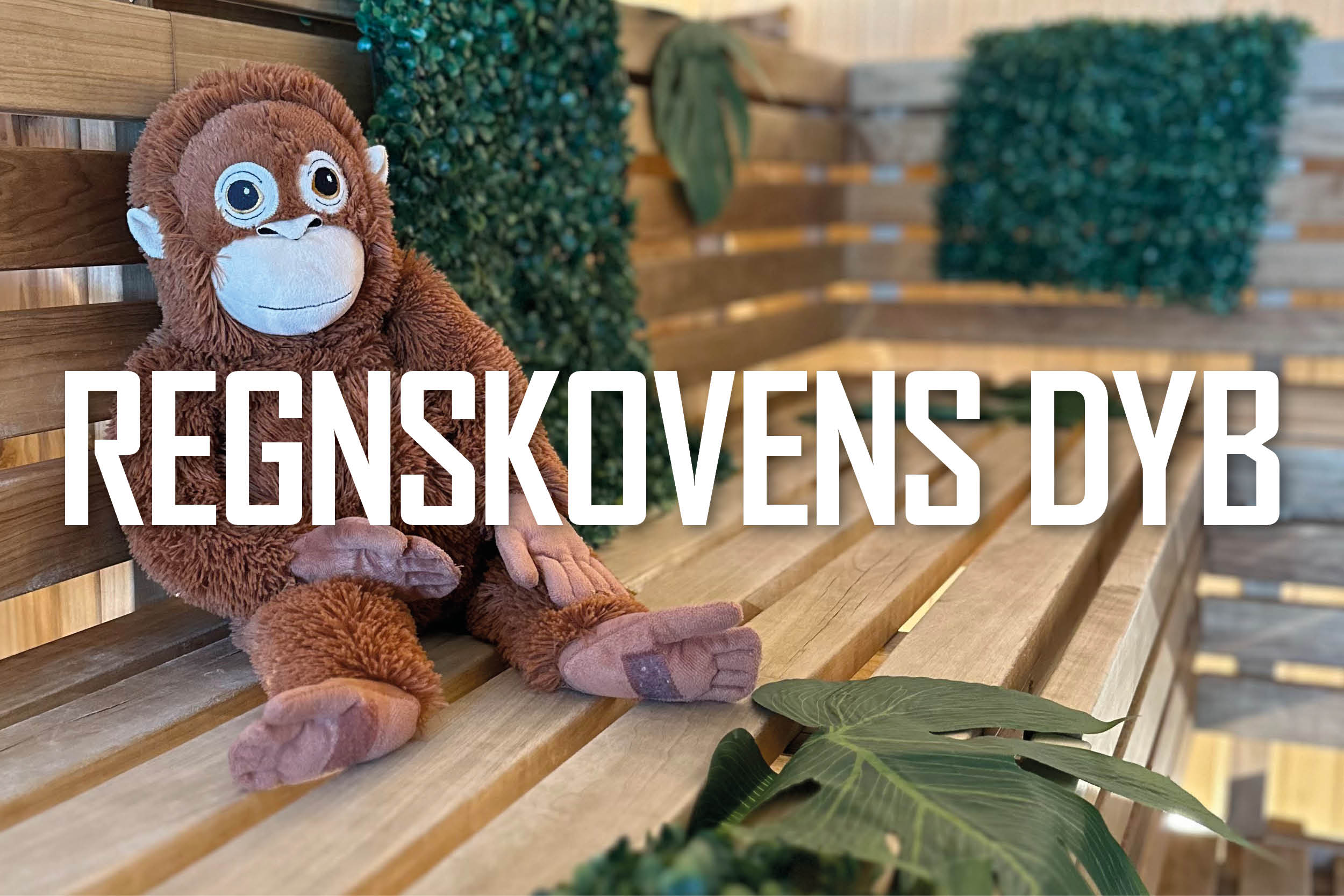 Regnskovens dyb